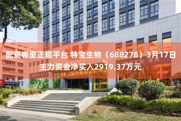 配资哪里正规平台 特宝生物（688278）3月17日主力资金净买入2919.37万元