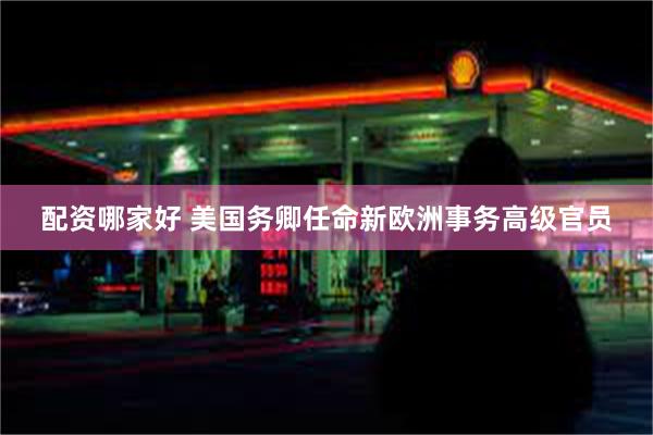配资哪家好 美国务卿任命新欧洲事务高级官员