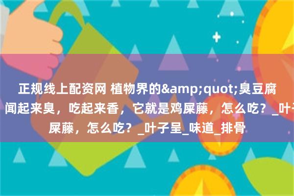 正规线上配资网 植物界的&quot;臭豆腐&quot;，闻起来臭，吃起来香，它就是鸡屎藤，怎么吃？_叶子呈_味道_排骨
