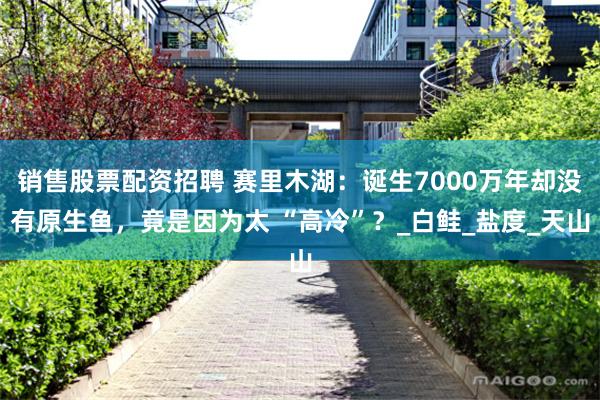销售股票配资招聘 赛里木湖：诞生7000万年却没有原生鱼，竟是因为太 “高冷”？_白鲑_盐度_天山