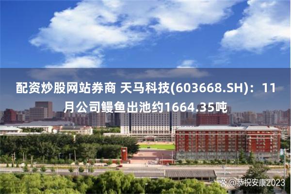 配资炒股网站券商 天马科技(603668.SH)：11月公司鳗鱼出池约1664.35吨