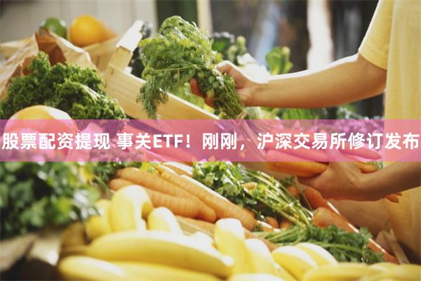 股票配资提现 事关ETF！刚刚，沪深交易所修订发布