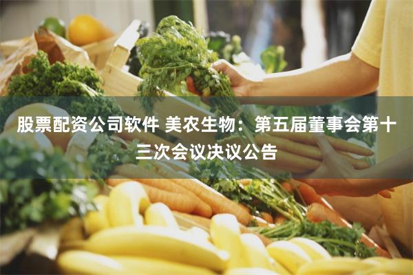 股票配资公司软件 美农生物：第五届董事会第十三次会议决议公告