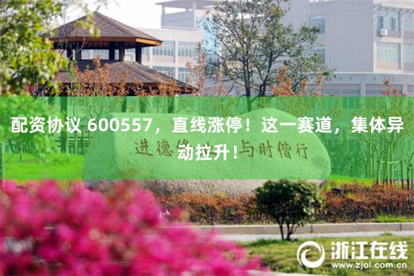 配资协议 600557，直线涨停！这一赛道，集体异动拉升！