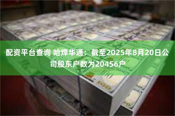 配资平台查询 哈焊华通：截至2025年8月20日公司股东户数为20456户
